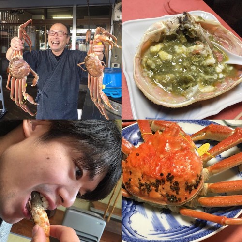 12558476_1551866998459189_1083708407_n