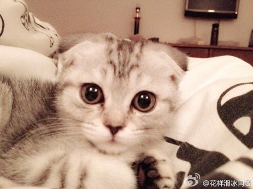 136160443200913230110