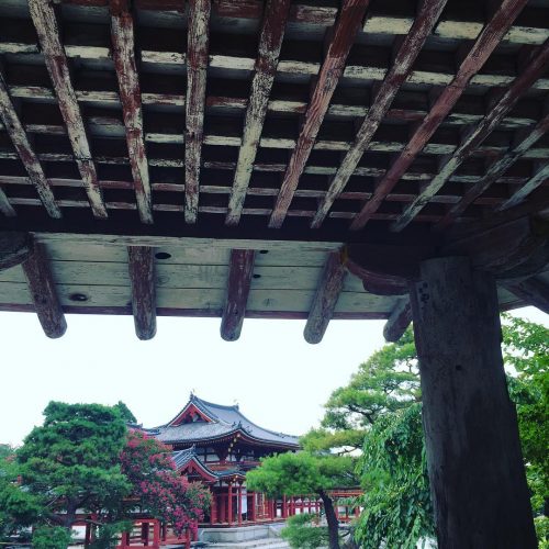 13694634_1162526520472700_90403752_n