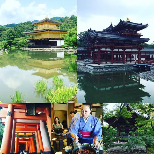 13696986_507302156129821_1086981961_n