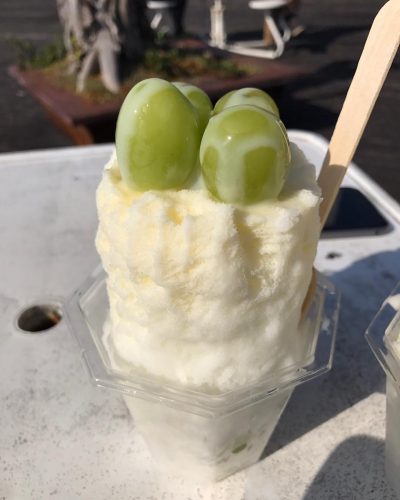 14705020_326141927766168_6608099556204740608_n1