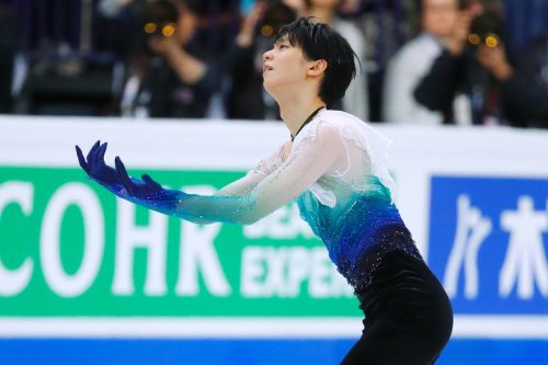 羽生結弦くんがトロントで癒されながら見ているロビンはどんな鳥なのかな？
