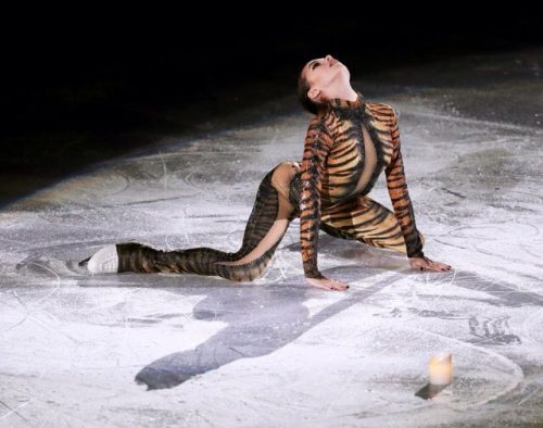 GPファイナル女王のザギトワ妖艶な舞。トラ柄タイツのセクシー衣装で観客を魅了