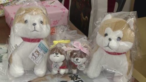 ザギトワに秋田犬のぬいぐるみ贈る　秋田県と大館市
