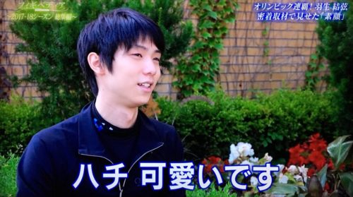 羽生結弦「ぼくハチに詳しいんですよ」「ハチかわいい」「健気」「あの子たち巣を守っているだけですよ」