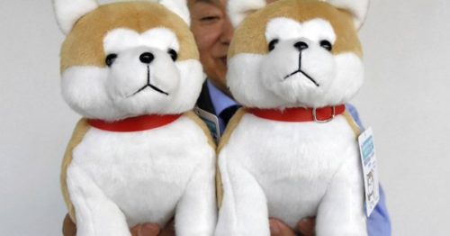 秋田犬ぬいぐるみ、７月まで品切れ　ザギトワ効果