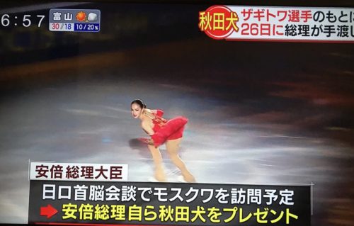 ザギトワ選手の秋田犬 安倍総理が26日手渡しへ！