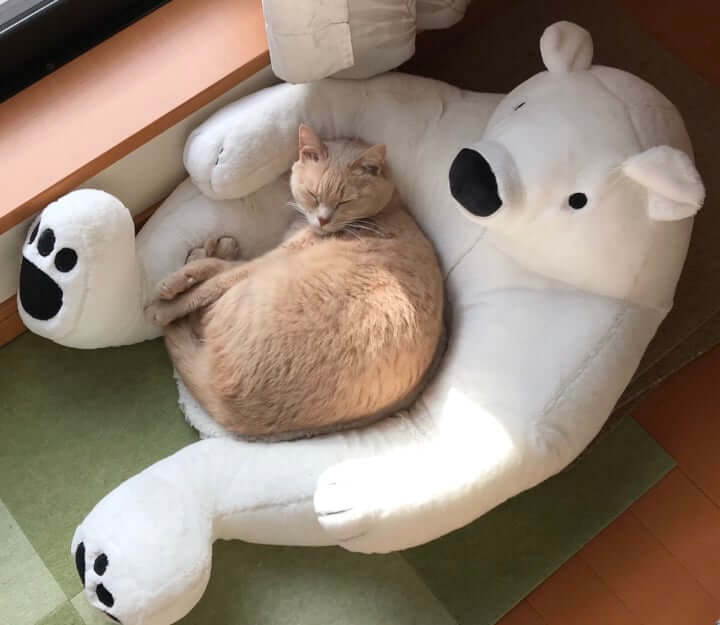 no title