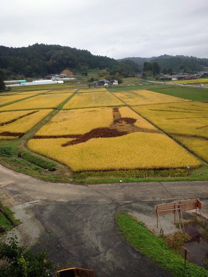 角田市の羽生結弦の田んぼアートは無事！ 台風19号による水没の危機から免れる！