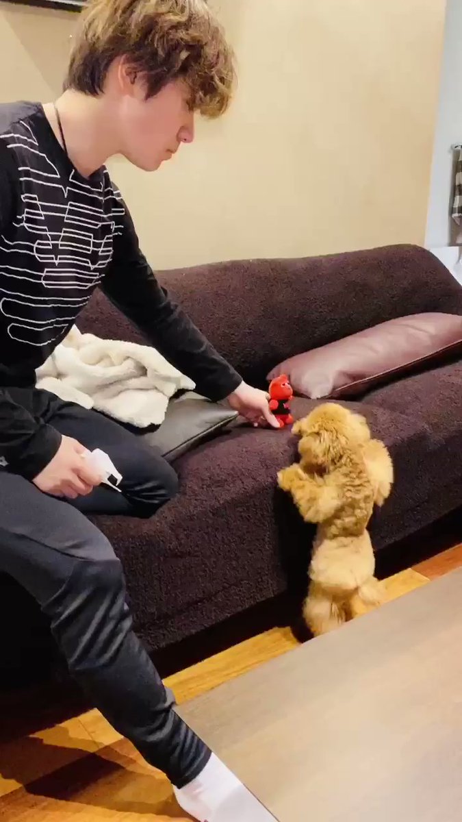 【映像有】宇野昌磨、愛犬に遊んで貰ってる？動画を公開！