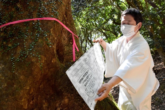 羽生選手も参拝　諭鶴羽（ゆづるは）神社周辺の原生林がピンチ　害虫対策へ協力募る