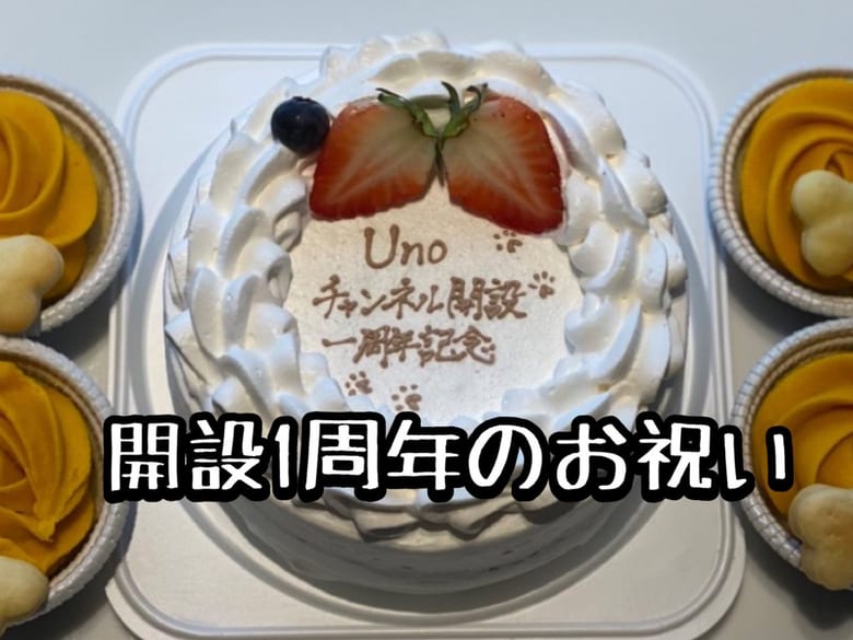Unoチャンネル開設一周年記念！　～Uno1ワンチャンネル開設祝い～