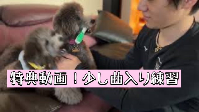 宇野昌磨 YouTube Emmaが大好きなan！　～でもこの時間は遠慮しよう 特典 曲入りの練習動画～