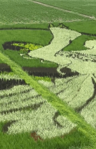 羽生結弦さんに届けたい山の風景