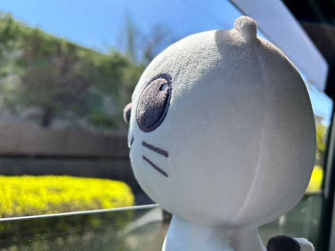 匂わせオコジョのくせにかわいーじゃないか