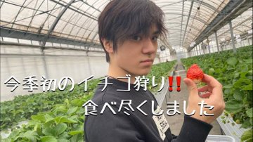 いちご弟の手作りホールケーキ作戦…いちごステファン先生作戦…