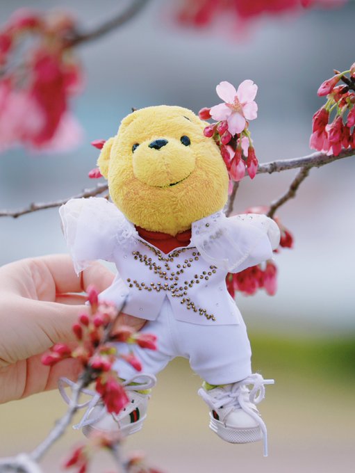 ダニボーぷー!!　かわいいｗｗ