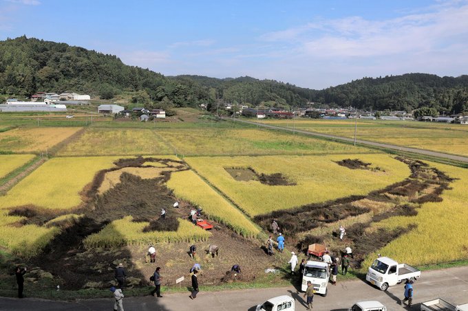 「ゆづロス確定やん…」羽生結弦さんモチーフの田んぼアート、稲刈りで別れ！地域住民との絆に涙腺崩壊。来年も絶対見たい！