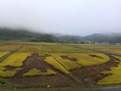 愛がヤバい！羽生結弦さんファン、12/7にちなんだ「127日連続ツイート」を達成してしまうｗｗｗ