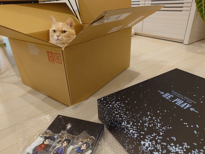 「RE_PRAY」楽曲提供のMUSICエンジンも円盤購入で氷上スレ民が歓喜ｗｗｗ「制作陣に愛されすぎｗ」と盛り上がる一方で、的外れな批判を繰り出すアンチに「あんぽんたんって死語すぎｗ」とツッコミの嵐！荒らしすらネタにする強火オタの鉄壁守備に全オタが爆笑やｗ