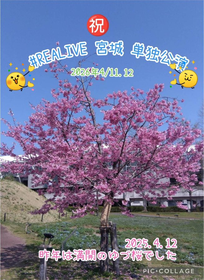 羽生結弦の2026年春は「notte」＆「単独」の豪華二本立て確定ｗｗｗ氷上スレ民も「ゆづ桜とREALIVE公演がドンピシャかｗ」と遠征計画に大忙し！満開の桜と絶対王者の共演に「ピンクの奇跡ｗ」と今からお祭り騒ぎが止まらんわｗ